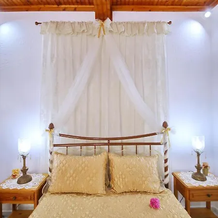 Vasia's Small Apartment Skopelos