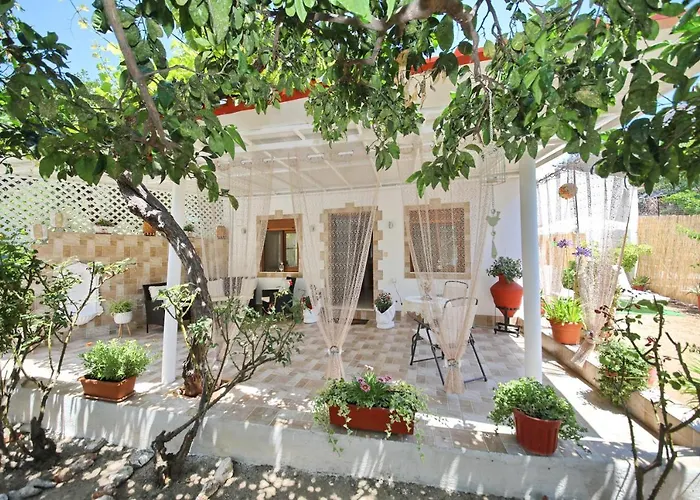 Vasia's Small Apartman *